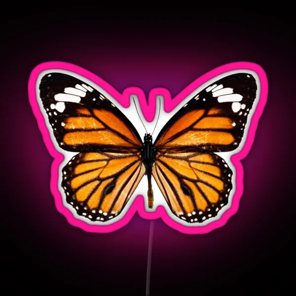 Monarch Butterfly Led RGB Neon Sign