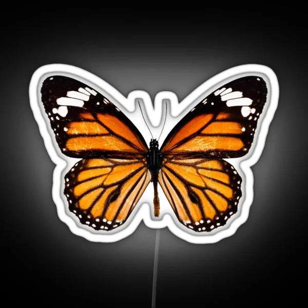 Monarch Butterfly Led RGB Neon Sign