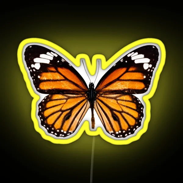 Monarch Butterfly Led RGB Neon Sign