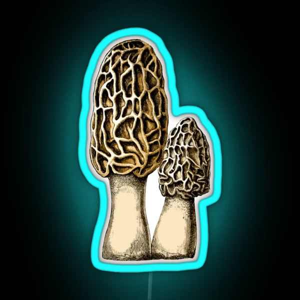 Morel Mushroom Vintage Botanical Illustration RGB Neon Sign