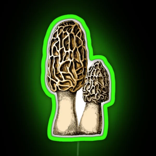 Morel Mushroom Vintage Botanical Illustration RGB Neon Sign