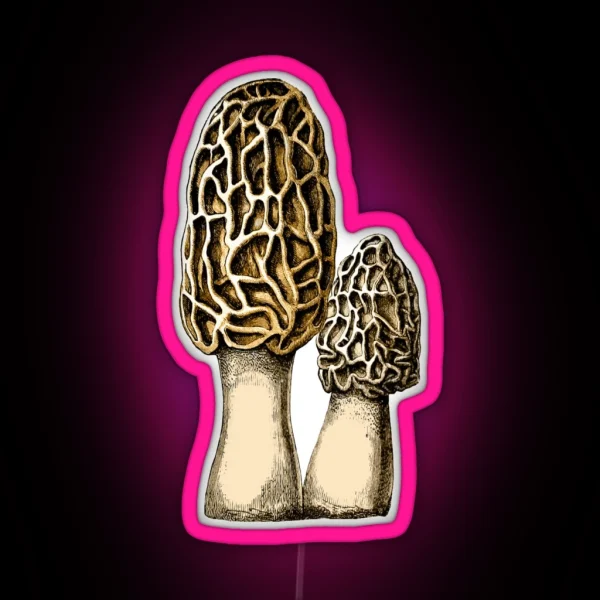 Morel Mushroom Vintage Botanical Illustration RGB Neon Sign