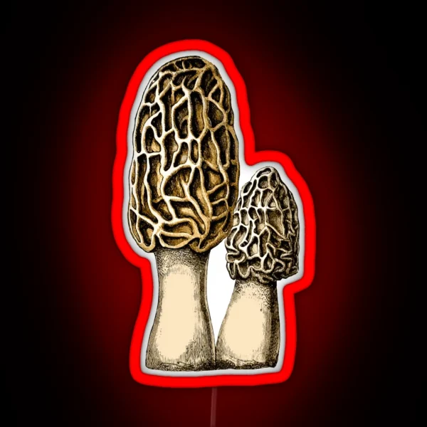 Morel Mushroom Vintage Botanical Illustration RGB Neon Sign
