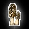 vintage-botanical-illustration-morel-mushroom-neon-sign-white-background