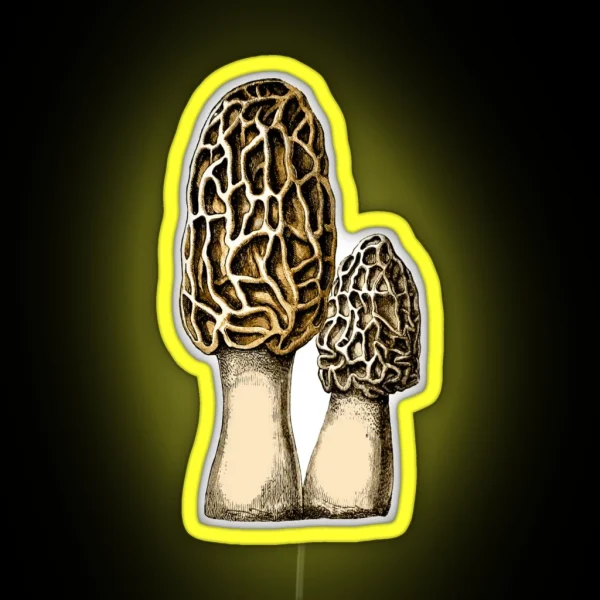 Morel Mushroom Vintage Botanical Illustration RGB Neon Sign