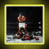 Muhammad Ali knocks out Sonny Liston in a historic boxing match - vibrant neon sign.