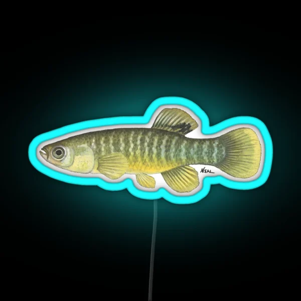 Mummichog RGB Neon Sign