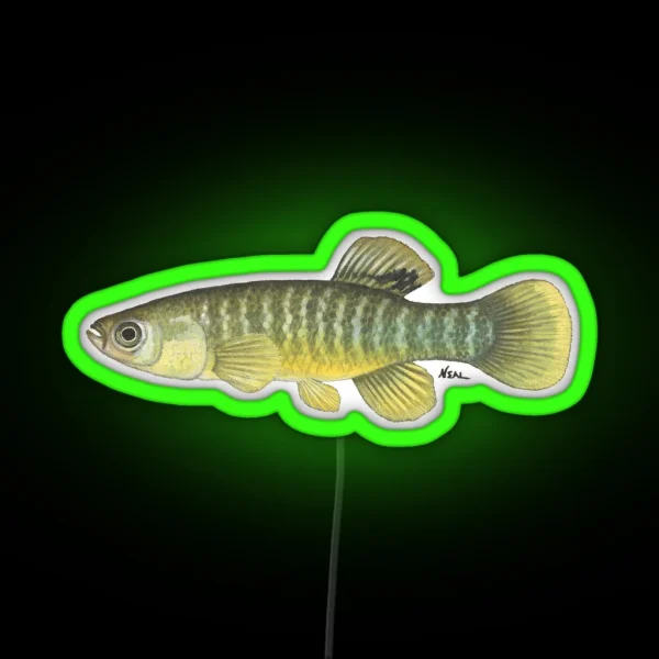 Mummichog RGB Neon Sign