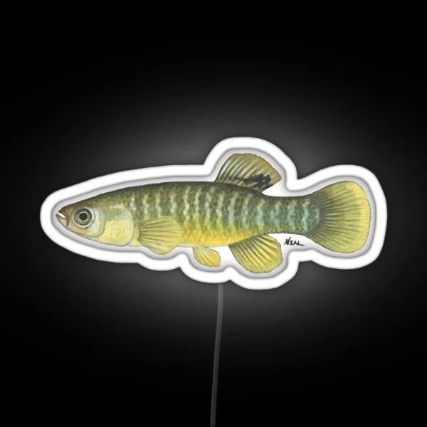 Mummichog RGB Neon Sign