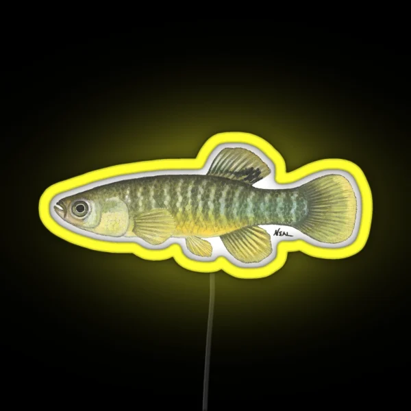 Mummichog RGB Neon Sign