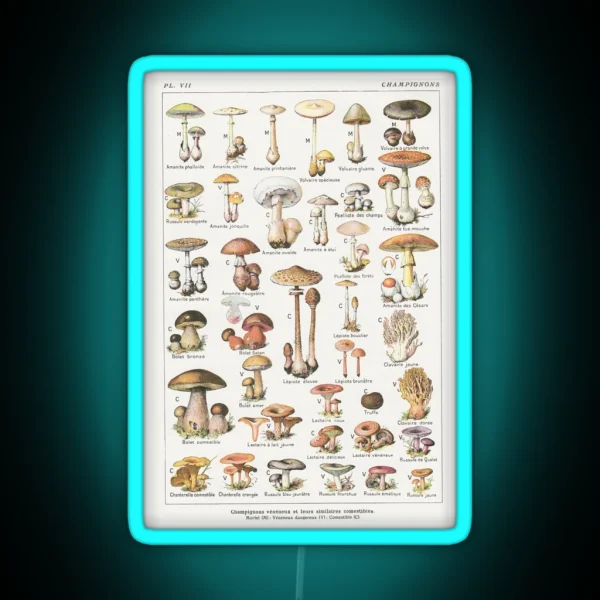Mushrooms RGB Neon Sign