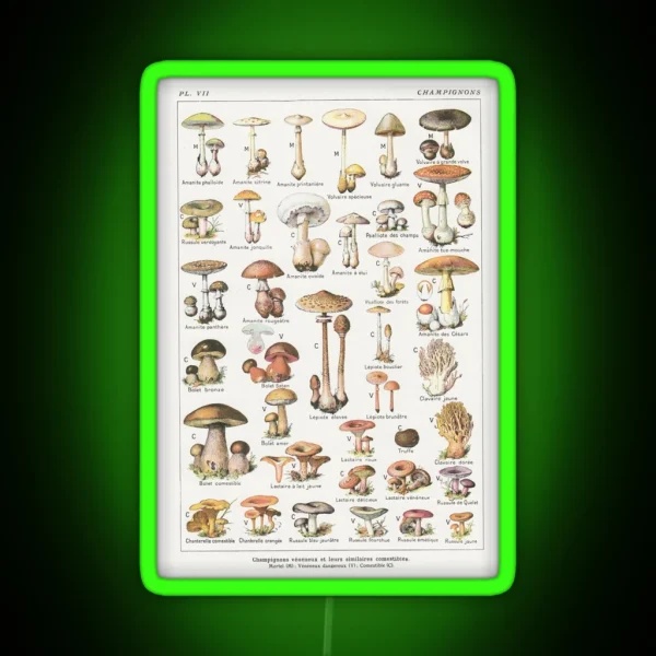Mushrooms RGB Neon Sign