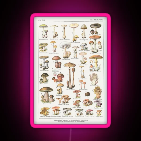Mushrooms RGB Neon Sign