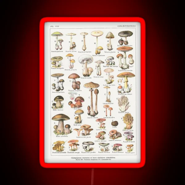 Mushrooms RGB Neon Sign
