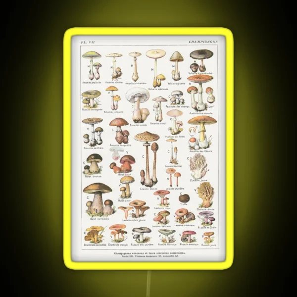 Mushrooms RGB Neon Sign