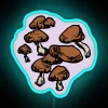 RGB Neon Sign Featuring Vibrant Mushrooms in Artistic Design