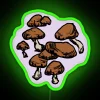 Mushrooms neon sign with vibrant RGB glow.
