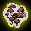 neon rgb mushrooms yellow glowing sign