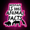Neon sign displaying 'My Brain Is 100 Animal Facts' in vibrant RGB neon pink.