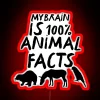 my-brain-is-100-animal-facts-neon-sign-red