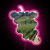 Stunning Napa Valley Vineyard RGB Neon Sign with Pink Lighting