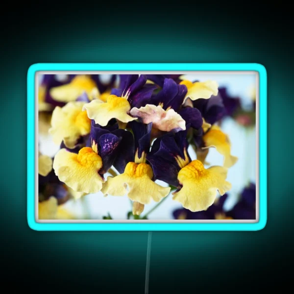 Nemesia Aroma Plums And Custard Aroma Series RGB Neon Sign
