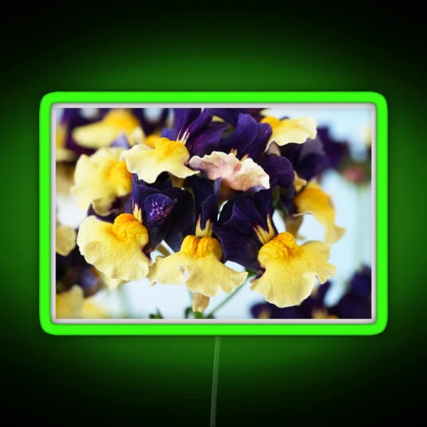 Nemesia Aroma Plums And Custard Aroma Series RGB Neon Sign