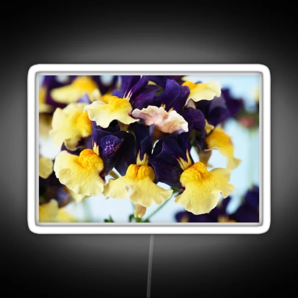 Nemesia Aroma Plums And Custard Aroma Series RGB Neon Sign