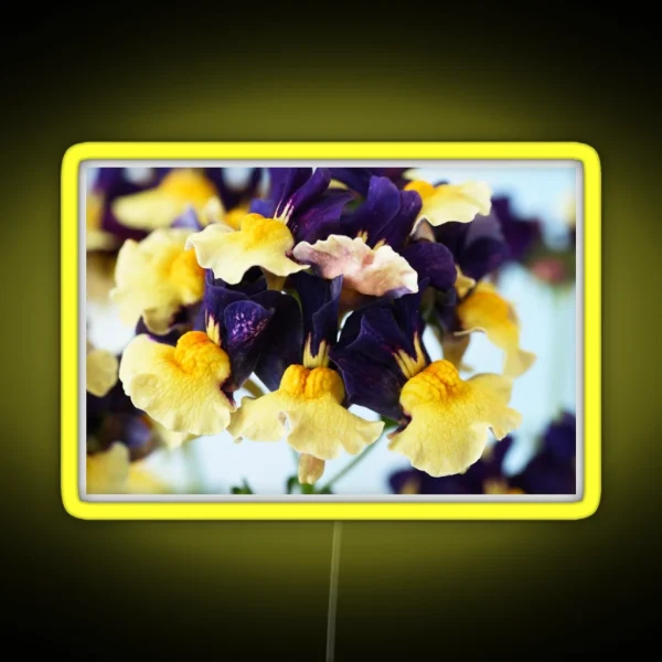 Nemesia Aroma Plums And Custard Aroma Series RGB Neon Sign