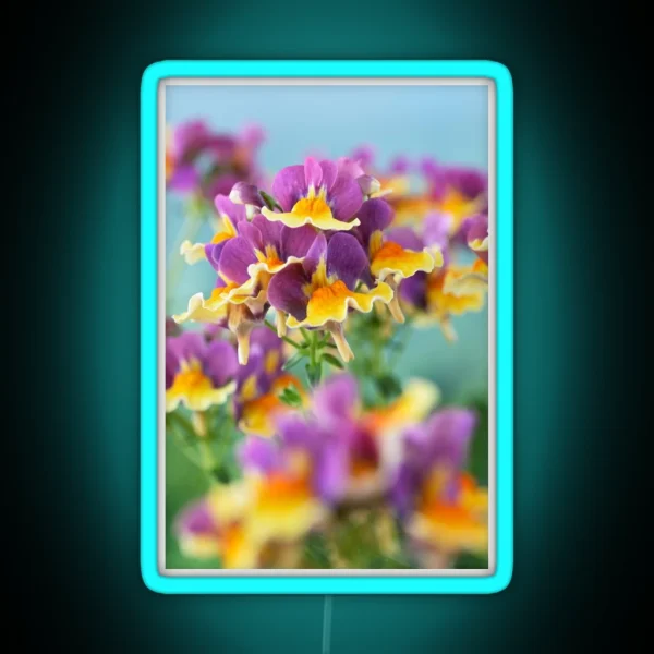 Nemesia Aroma Rhubarb And Custard Aroma Series RGB Neon Sign