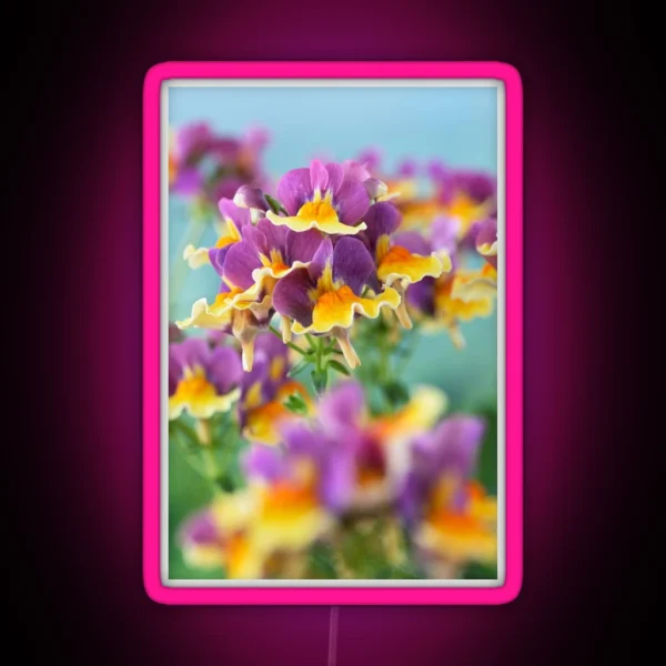 Nemesia Aroma Rhubarb And Custard Aroma Series RGB Neon Sign