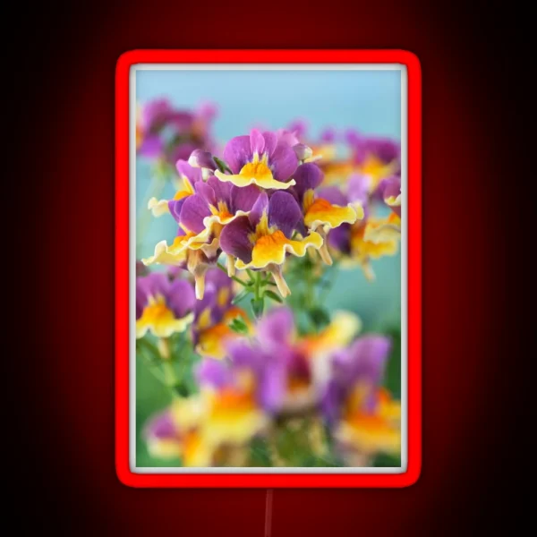 Nemesia Aroma Rhubarb And Custard Aroma Series RGB Neon Sign