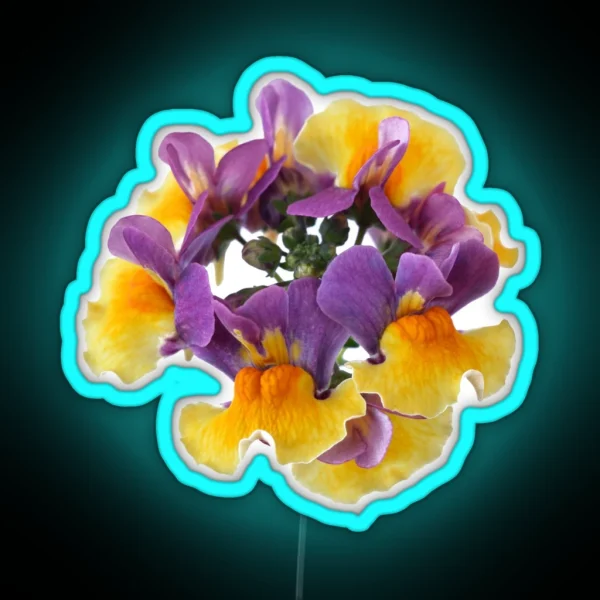 Nemesia Aroma Rhubarb And Custard Aroma Series RGB Neon Sign