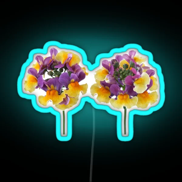 Nemesia Aroma Rhubarb And Custard Aroma Series RGB Neon Sign