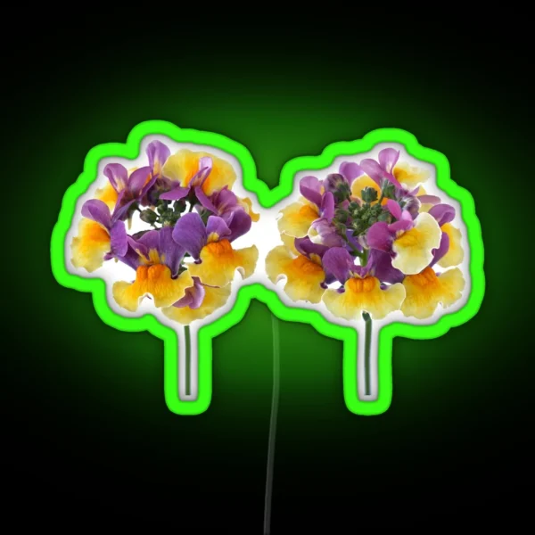 Nemesia Aroma Rhubarb And Custard Aroma Series RGB Neon Sign
