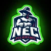 new england college pilgrims rgb neon sign - vibrant college sports team promotional sign