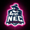 New England College Pilgrims RGB Neon Sign in Pink