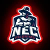 new-england-college-pilgrims-rgb-neon-sign-vibrant-red