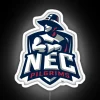 new england pilgrims college neon sign vibrant rgb lighting