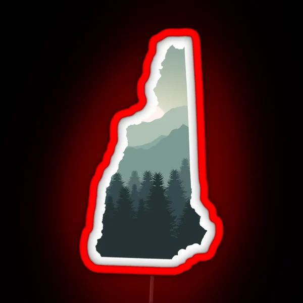 New Hampshire NH 603 Skiing And Snowboarding RGB Neon Sign