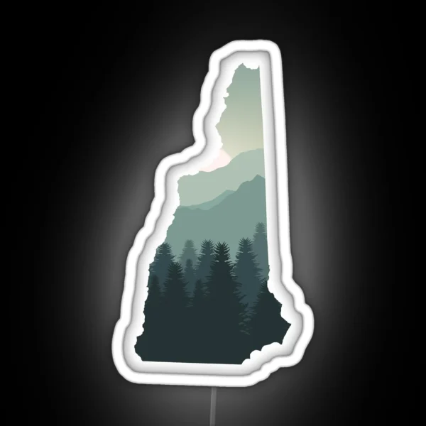 New Hampshire NH 603 Skiing And Snowboarding RGB Neon Sign