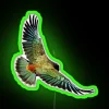 new-zealand-kea-neon-sign-green
