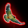 rgb neon sign of a new zealand kea - red