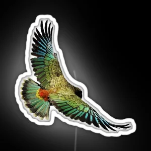 New Zealand Kea RGB Neon Sign