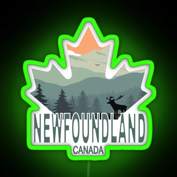 Newfoundland Canada Canadian Flag RGB Neon Sign