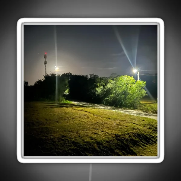 Night Nature RGB Neon Sign