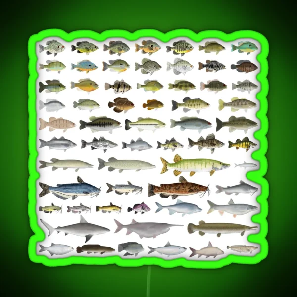North America Freshwater Fish Group RGB Neon Sign