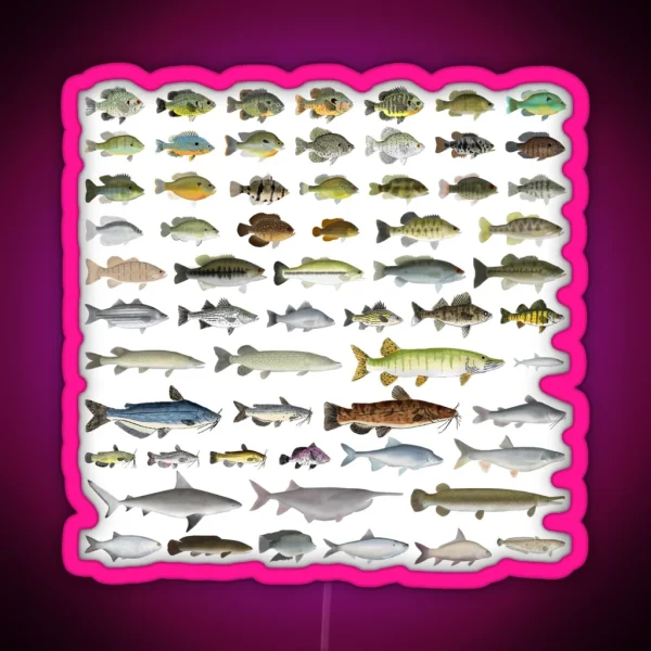 North America Freshwater Fish Group RGB Neon Sign