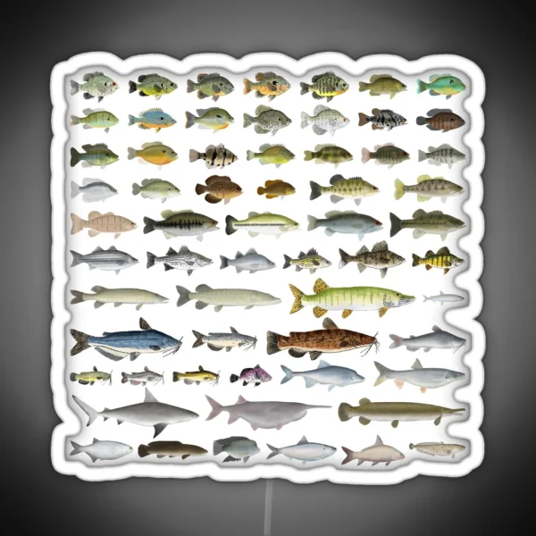 North America Freshwater Fish Group RGB Neon Sign