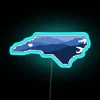 alt="A vibrant neon heart sign representing North Carolina, specifically highlighting Asheville with RGB lighting.